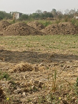 Plot Area in  Plot at Jhalwa – for Sale