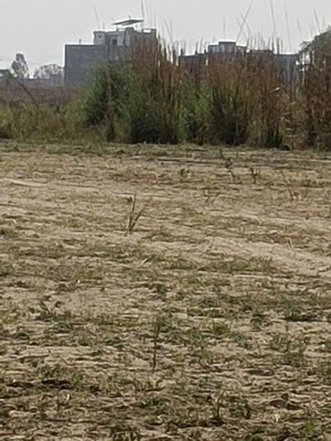 Plot Area in  Plot at Jhalwa – for Sale