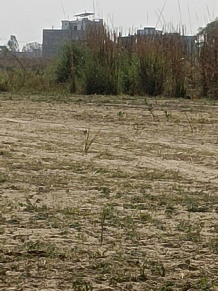 undefined, jhalwa  900 Sq.Ft. Plot In Jhalwa Allahabad 10336864