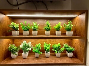 Furnished Amenities in Studio Apartment at M3M Broadway, Sector 71 – for Rent