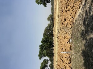  Plot – Exterior View View at Raebareli Road - for Sale