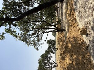  Plot – Exterior View View at Raebareli Road - for Sale