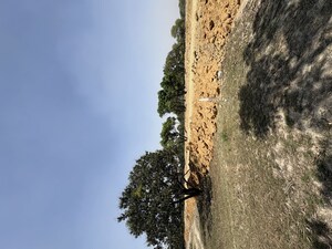 Plot Area in  Plot at Raebareli Road – for Sale