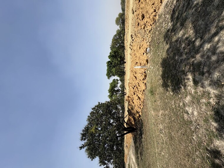 undefined, raebareli road  1225 Sq.Ft. Plot In Raebareli Road Lucknow 10336318