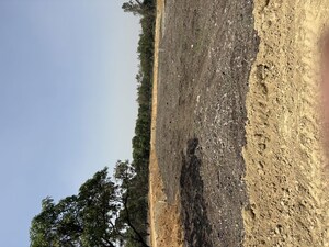  Plot – Exterior View View at Raebareli Road - for Sale