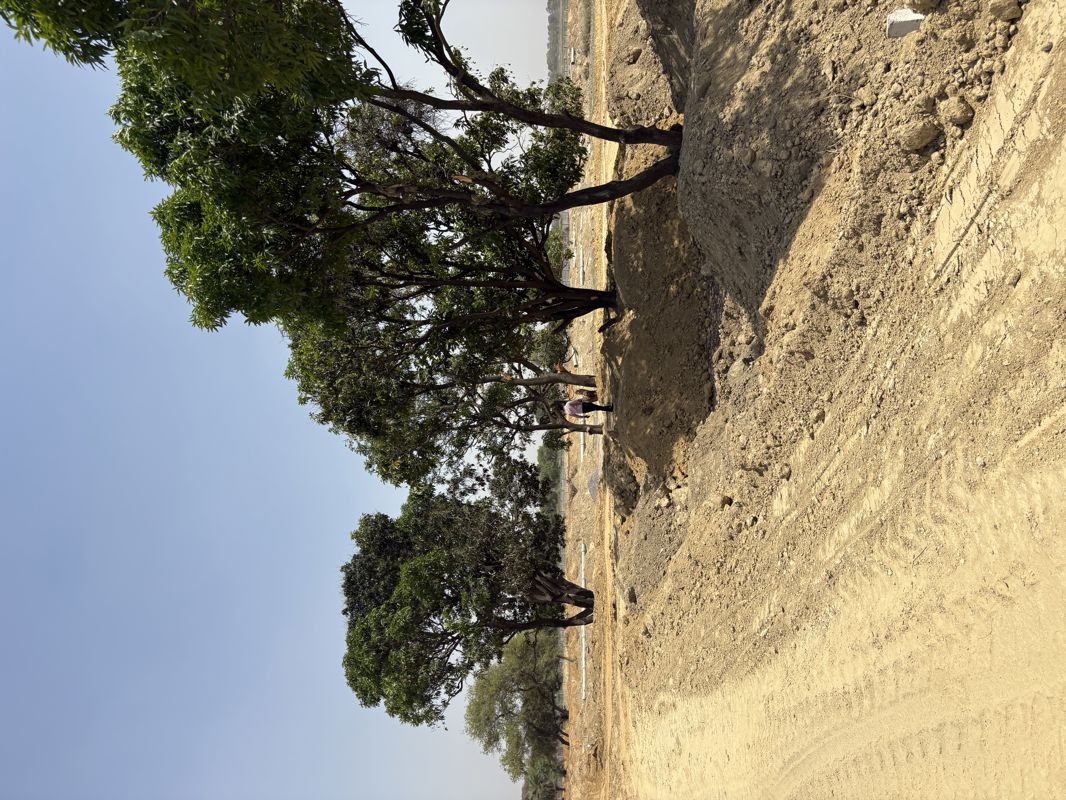Plot For Sale in Raebareli Road