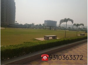 Plot Area in 3 BHK Builder Floor at Amolik Aster Woods, Sector 98 – for Sale