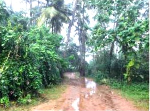 Plot Area in  Land at Minjur – for Sale