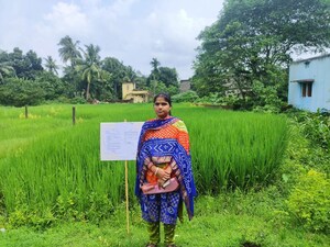 Plot Area in  Land at Cuttack Road – for Sale