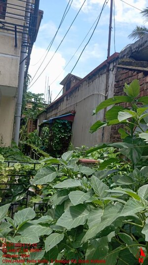  Independent House – Exterior View View at Rajpur - for Sale