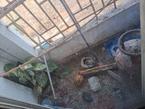  Apartment – Exterior View View at Badlapur West - for Sale