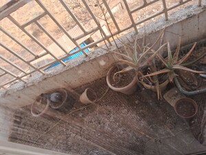  Apartment – Exterior View View at Badlapur West - for Sale