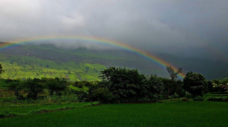 Garden, nasik road  1800 Sq.Ft. Plot In Nasik Road Nashik 10311939