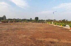 Plot For Sale in Sector 75