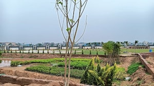  Plot For Sale in Sector 12 Panchkula