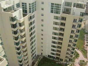 3 BHK Apartment For Rent in Raheja Atlantis, Sector 31