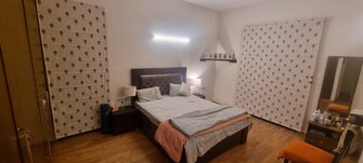 2 BHK + Study Room 1632 Sq.Ft. Apartment in Ireo The Grand Arch