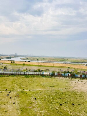 2 BHK Apartment For Rent in Eldeco Live By The Greens, Sector 150