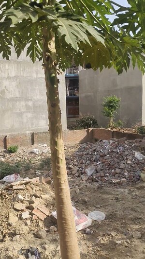 Plot Area in  Plot at Gokul Dham Society, Hariharpur – for Sale