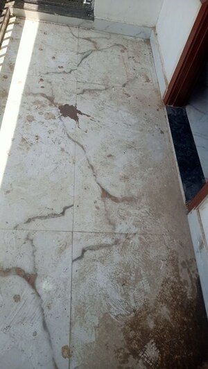 Balcony in 3 BHK Builder Floor at Siddharth Estate, Vasant Vihar – for Rent