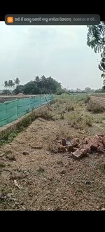 3000 Sq.Ft. Plot in Trisulia