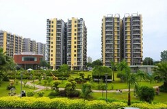 3 BHK Apartment For Rent in Trishla City