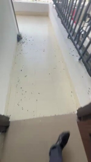 Building Lobby in 2 BHK Apartment at Ace City, Sector 1 Greater Noida – for Sale