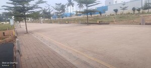 Plot Area in  Plot at Sampigehalli – for Sale