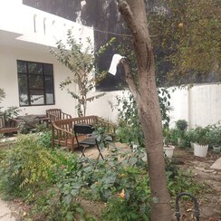 2.5 BHK + Servant Room,Study Room,Extra Room,Basement,Store Room Villa For Sale in Sector 46