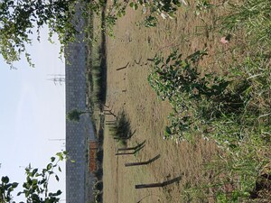  Industrial Plot For Sale in Kailasha Enclave, Sultanpur Road