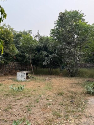 Plot Area in  Land at Sector 33 – for Sale