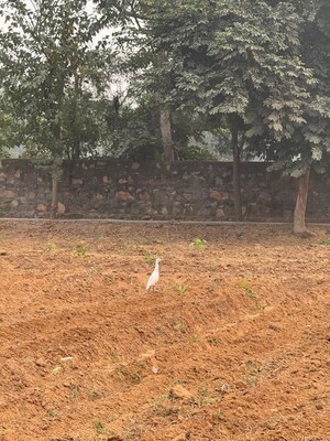 Plot Area in  Land at Sector 33 – for Sale