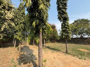 Plot Area in  Land at Sector 33 – for Sale