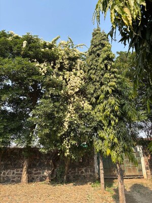  Land – Garden View at Sector 33 - for Sale