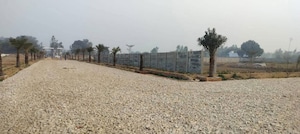 Plot Area in  Plot at Gosainganj – for Sale