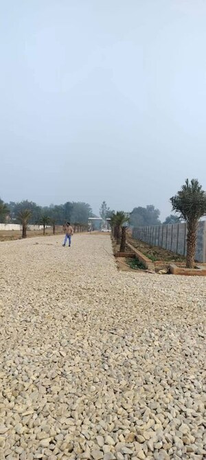 Plot Area in  Plot at Gosainganj – for Sale