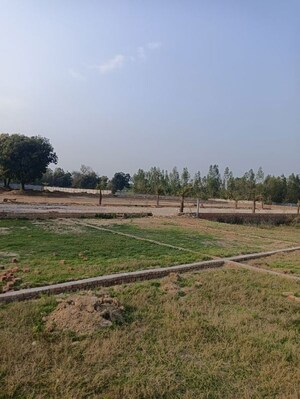 Plot Area in  Plot at Gosainganj – for Sale