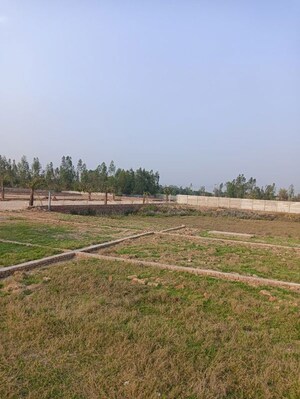 Plot Area in  Plot at Gosainganj – for Sale
