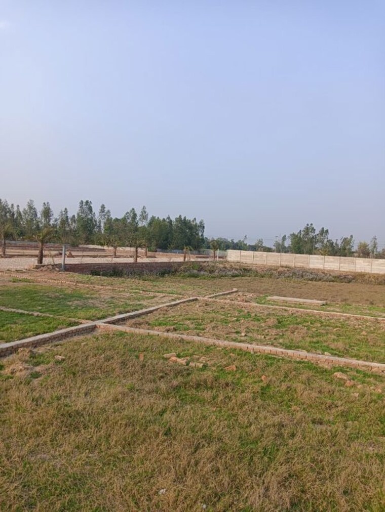 undefined, gosainganj  1501 Sq.Ft. Plot In Gosainganj Lucknow 10343935