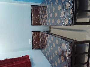  Pg For Rent in Ghansoli