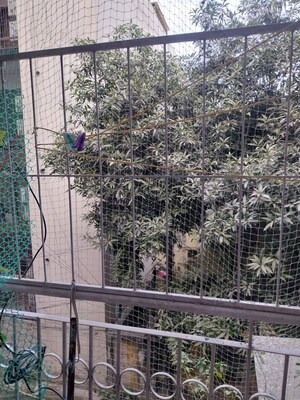 Balcony in 1 BHK Builder Floor at Kalkaji – for Rent