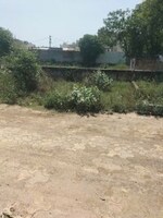 100 Sq.Yd. Plot in Disha Residency