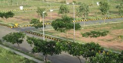 Plot For Sale in Sector 78