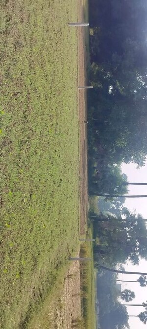  Plot – Exterior View View at Shivala Par - for Sale