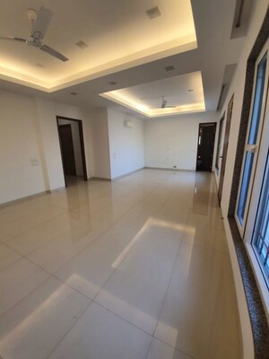 Kitchen in 3 BHK Builder Floor at Sector 45 – for Rent