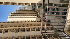 2 BHK Apartment For Rent in Signature The Millennia 3