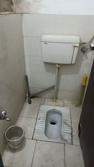 Bathroom in 1 BHK Apartment at Mantra Majestica, Hadapsar – for Sale