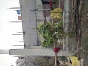  Plot – Exterior View View at Stellar Gymkhana, Knowledge Park Ii Greater Noida - for Sale