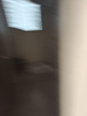 Room in 1.5 BHK Apartment at Harsh CHS Tilak Nagar, Tilak Nagar – for Rent