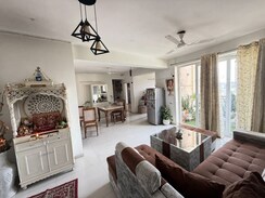 3 BHK Apartment For Rent in Tulip Violet